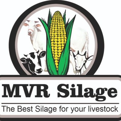 MVR SILAGE AND DAIRY FARM