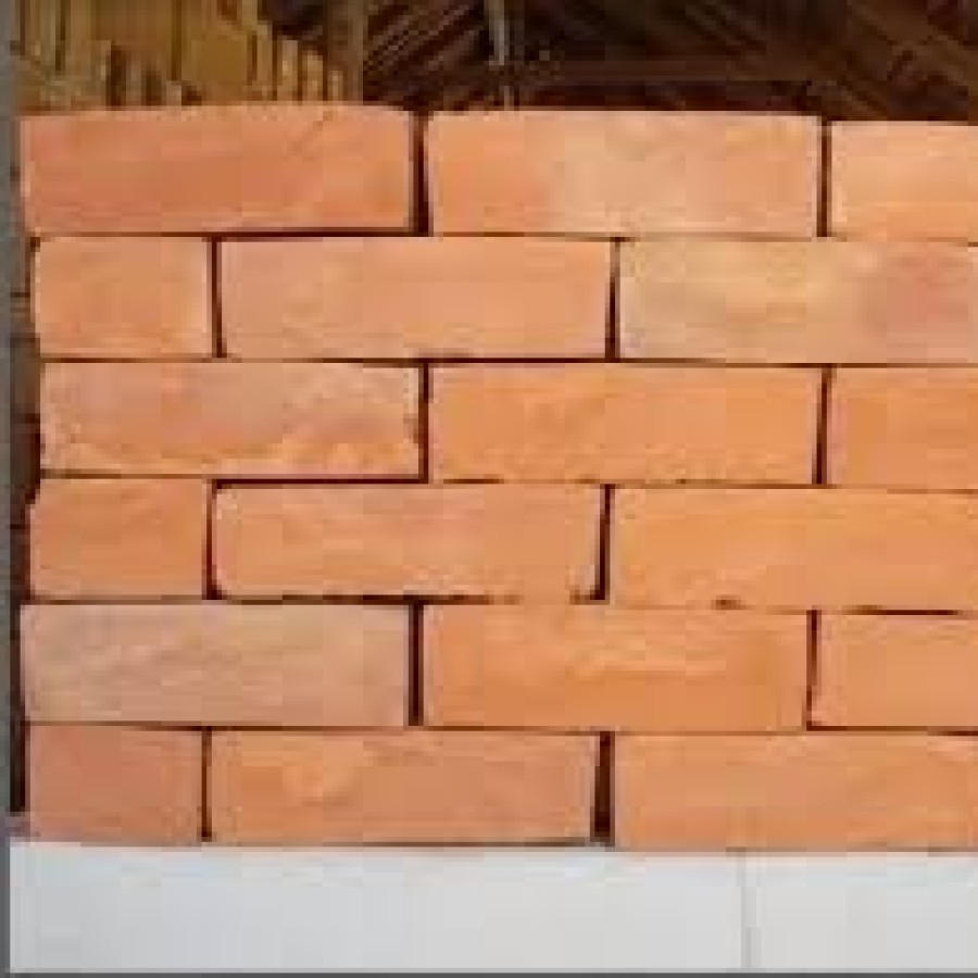 BRICKS