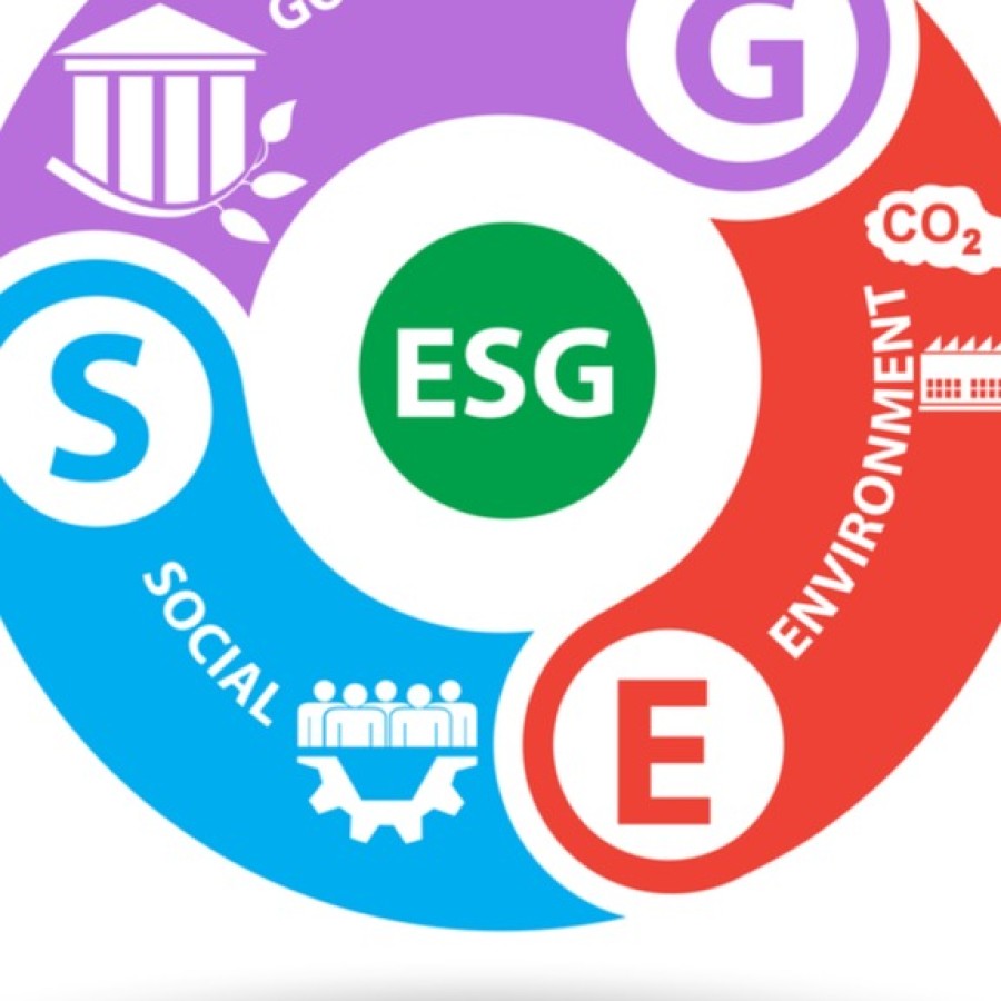 ESG AUDIT SERVICES; SUSTAINABILITY REPORTING SERVICES; GHG ACCOUNTING; EHS POLICY DEVELOPMENT; ONLINE AND OFFLINE TRAINING AND WORKSHOP ON ALL THESE S