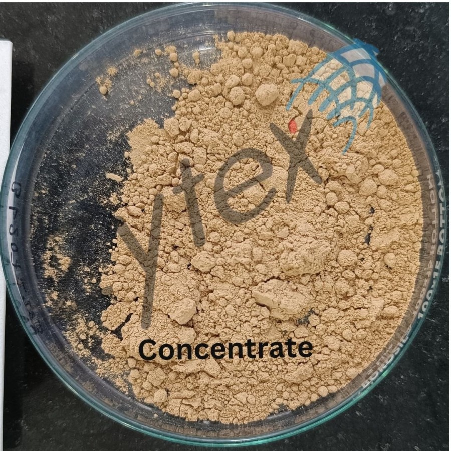 Probiotic Culture of Bacillus Licheniformis Spores