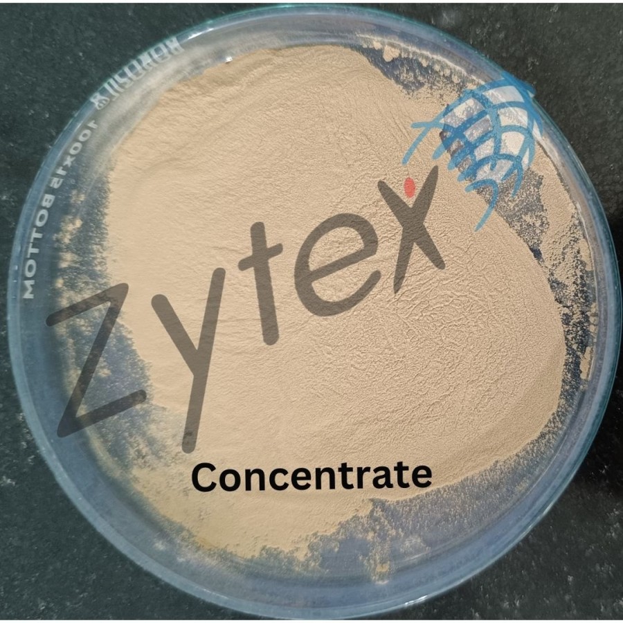 Microbial Culture of Bacillus Coagulans Spores