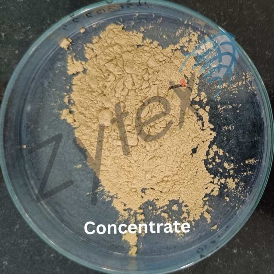 Microbial Culture of Bacillus Subtilis Bacteria