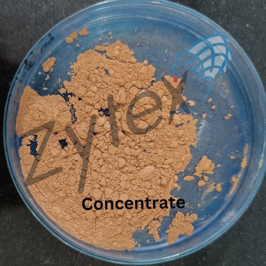 Microbial Culture of Bacillus Megaterium Bacteria