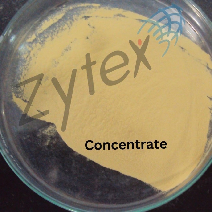 Microbial Culture of Bacillus Altitudinis Bacteria