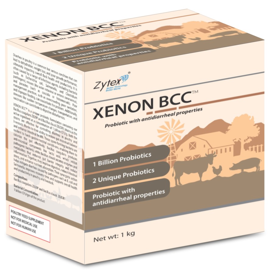 Xenon BCC